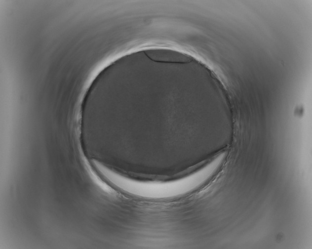 X0000096131519200802011136