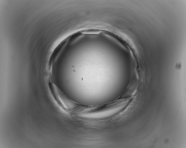 X0000096131520200802011136