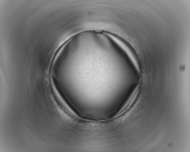 X0000096131521200802011136