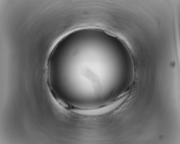 X0000096131524200802011136