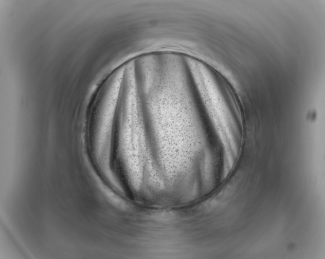 X0000096131525200802011136