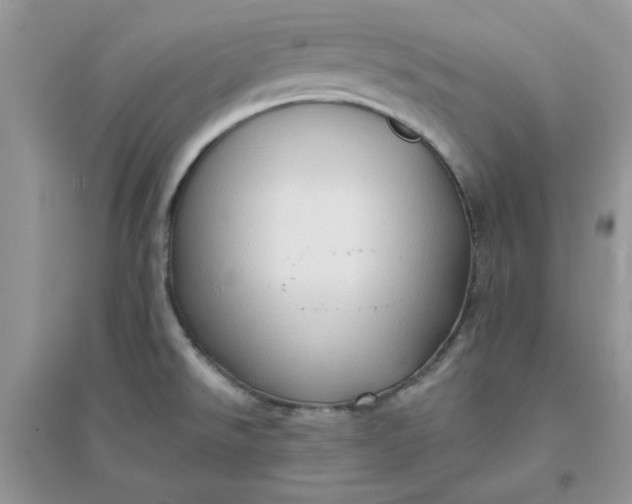 X0000096131526200802011136