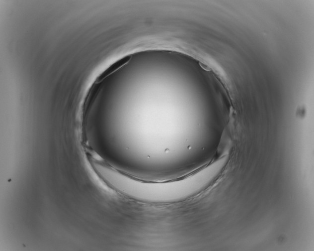 X0000096131528200802011136