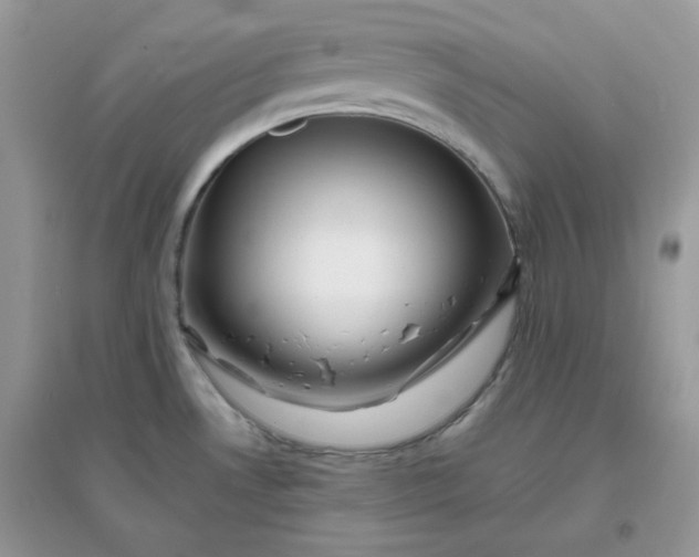 X0000096131530200802011136