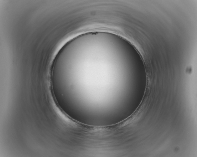 X0000096131531200802011136