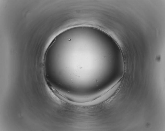 X0000096131532200802011136