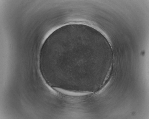 X0000096131533200802011136