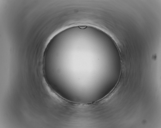 X0000096131534200802011136