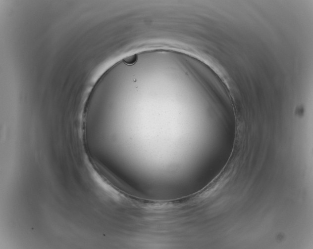 X0000096131535200802011136