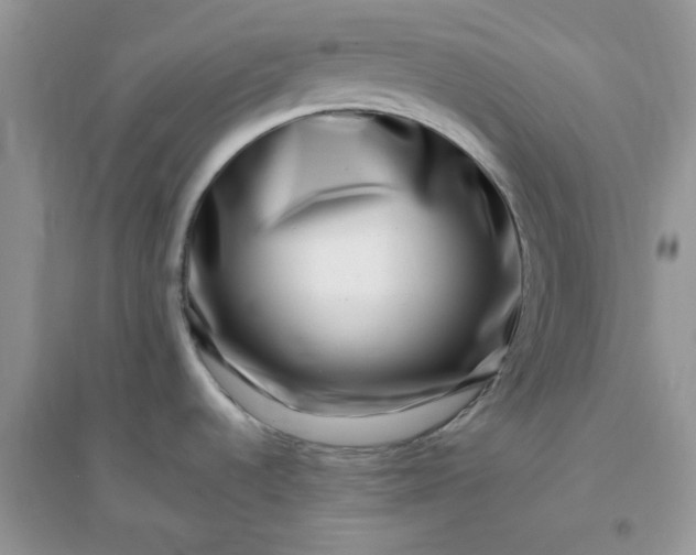 X0000096131536200802011136