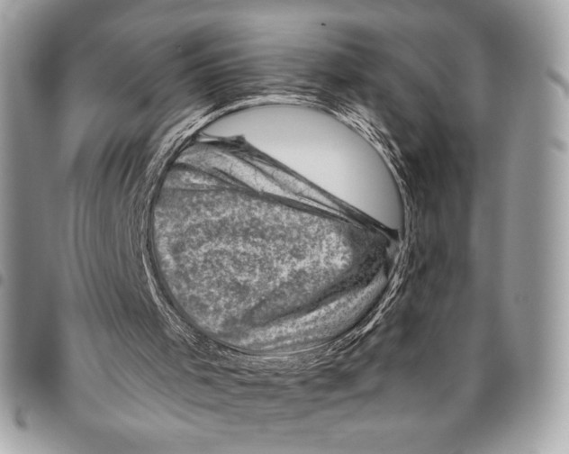 X0000096130001200802081336