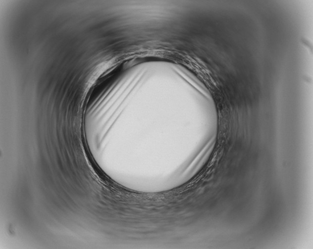 X0000096130003200802081336