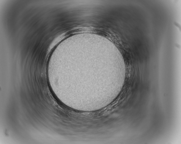 X0000096130004200802081336