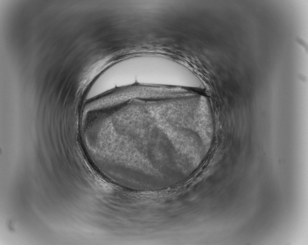 X0000096130005200802081336