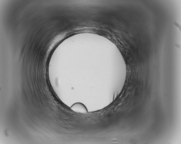 X0000096130006200802081336