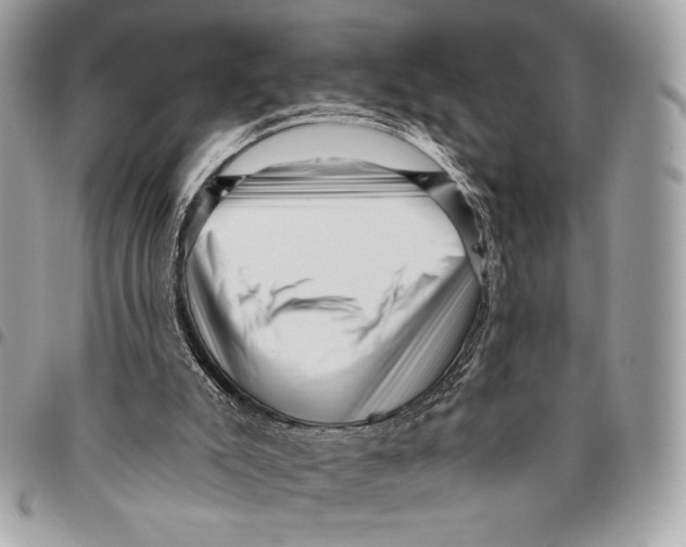 X0000096130007200802081336