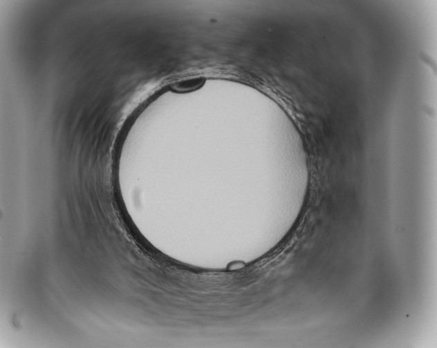 X0000096130008200802081336