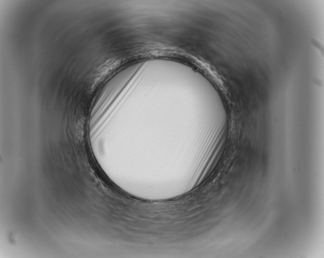 X0000096130010200802081336