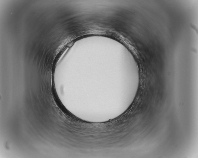 X0000096130011200802081336