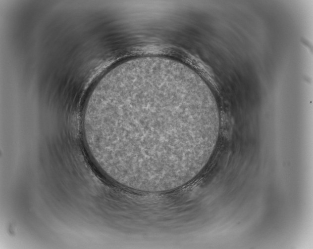 X0000096130012200802081336