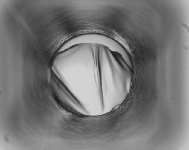 X0000096130013200802081336