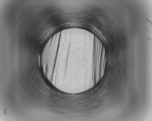 X0000096130014200802081336