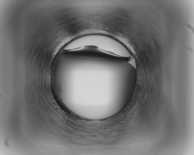 X0000096130015200802081336