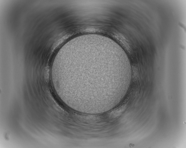 X0000096130016200802081336