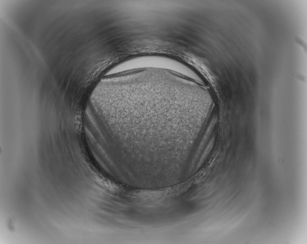 X0000096130017200802081336