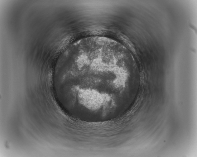X0000096130018200802081336