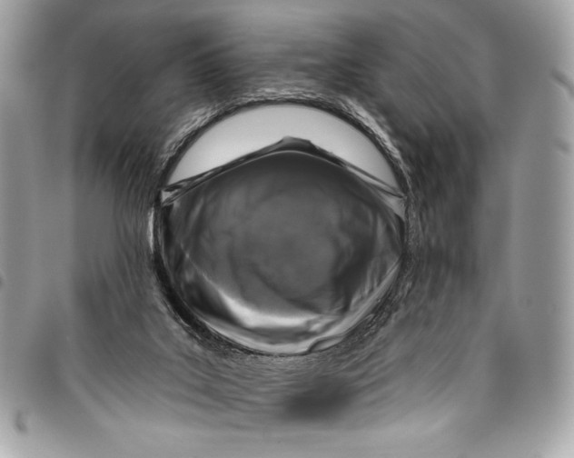X0000096130019200802081336