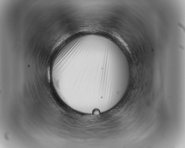 X0000096130020200802081336