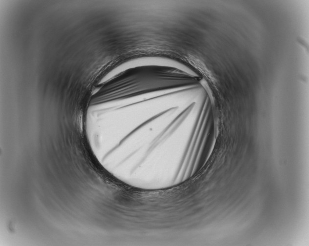 X0000096130021200802081336
