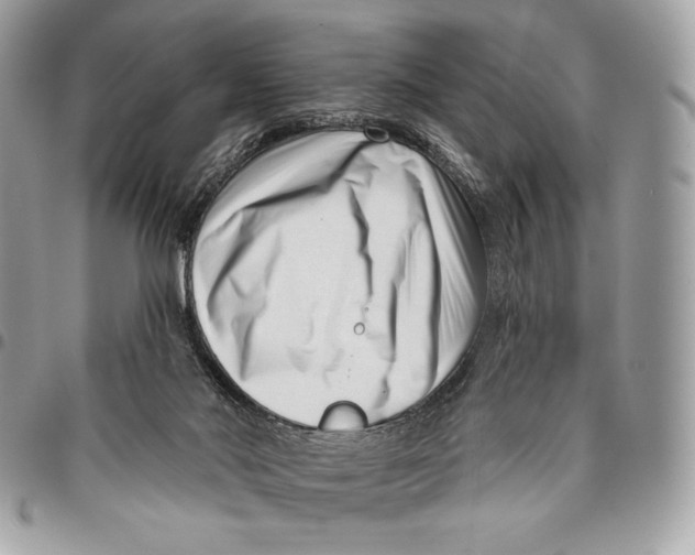 X0000096130022200802081336