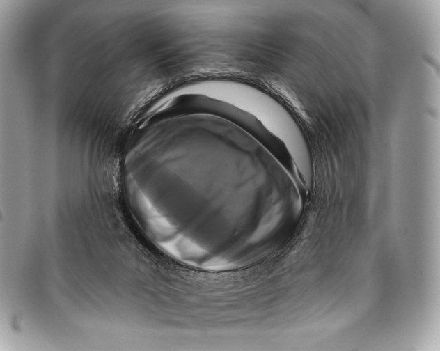 X0000096130023200802081336