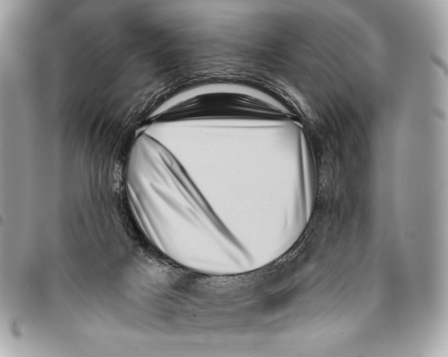X0000096130025200802081335