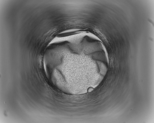 X0000096130026200802081335