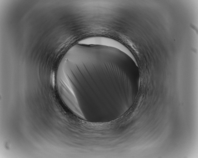 X0000096130027200802081335
