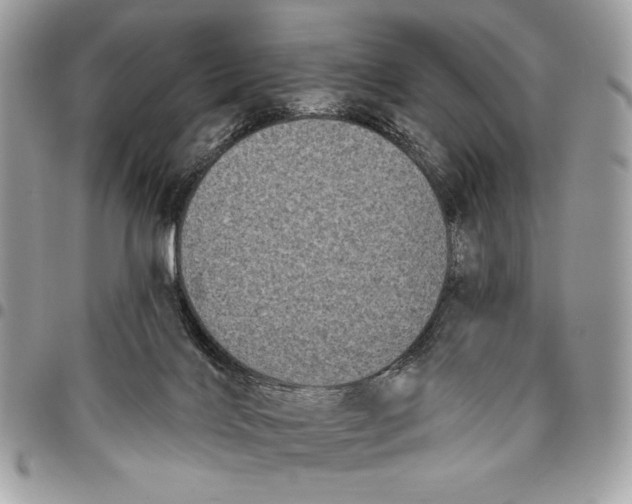 X0000096130028200802081335