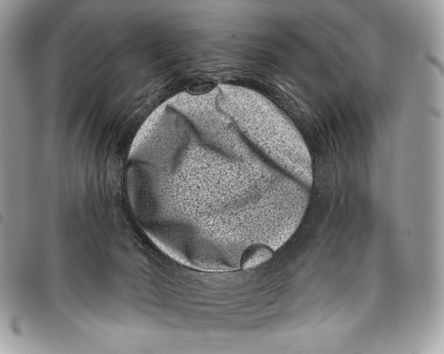 X0000096130030200802081335