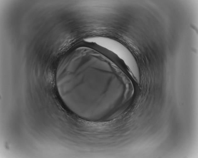 X0000096130031200802081335