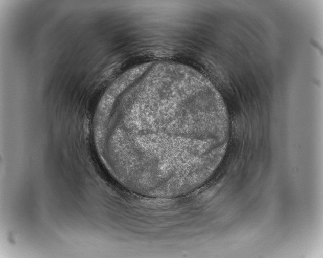 X0000096130032200802081335