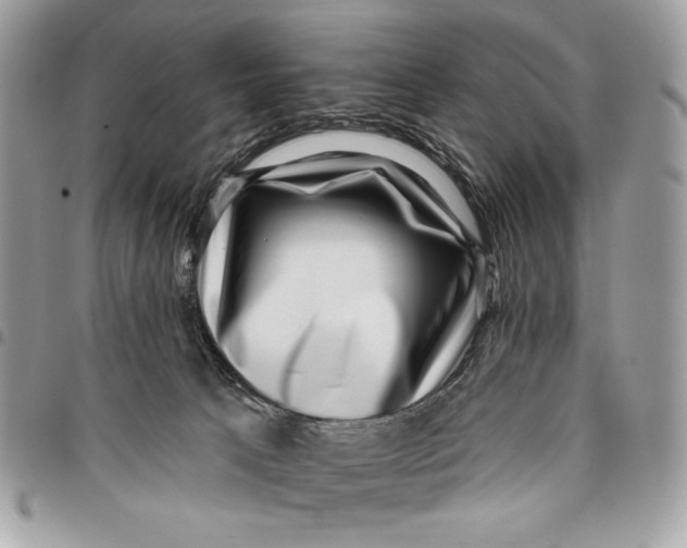 X0000096130033200802081335