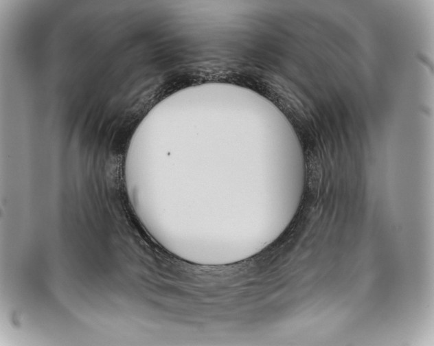 X0000096130034200802081335