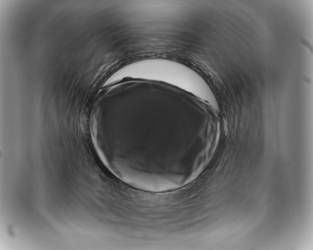 X0000096130035200802081335