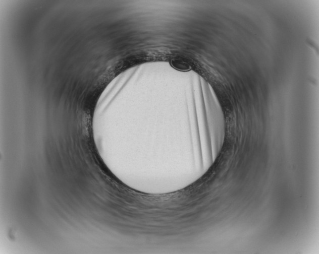 X0000096130038200802081335