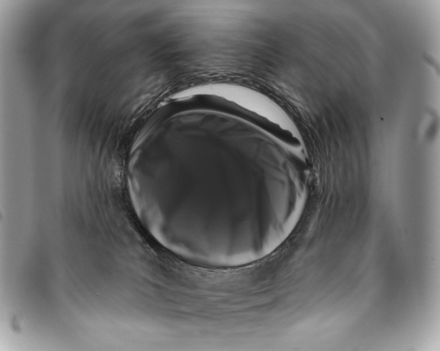 X0000096130039200802081335