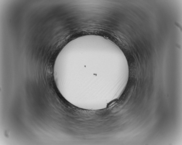 X0000096130040200802081335
