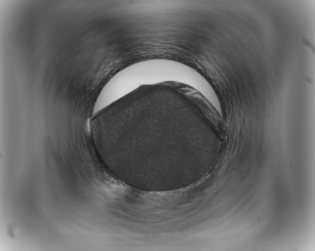 X0000096130041200802081335