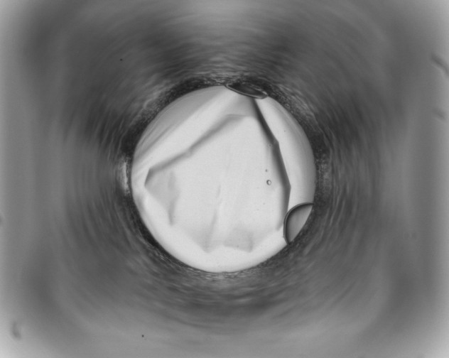 X0000096130042200802081335